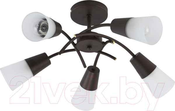 Изображение товара Люстра ESCADA 1109/5P (венге)