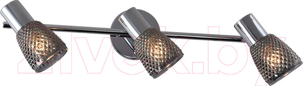 Изображение товара Спот ESCADA 667/3P (хром)