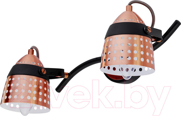 Изображение товара Спот ESCADA 1138/2A (черный/медь)