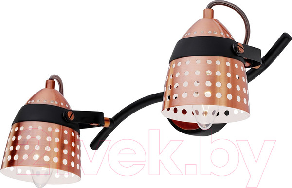 Изображение товара Спот ESCADA 1138/2A (черный/медь)