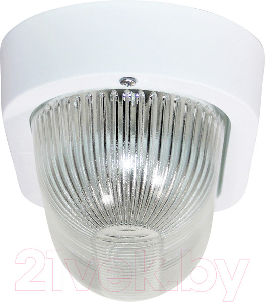 Изображение товара Светильник ЖКХ Элетех Фарпласт НБО 23-60-005 / 1005500128 (белый)