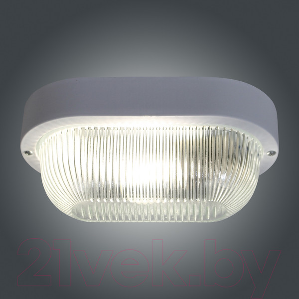 Изображение товара Светильник ЖКХ Элетех Фарпласт НБО 23-60-005 / 1005500128 (белый)