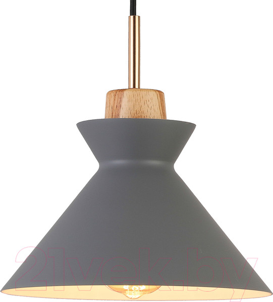 Изображение товара Потолочный светильник ESCADA 1106/1S (серый)
