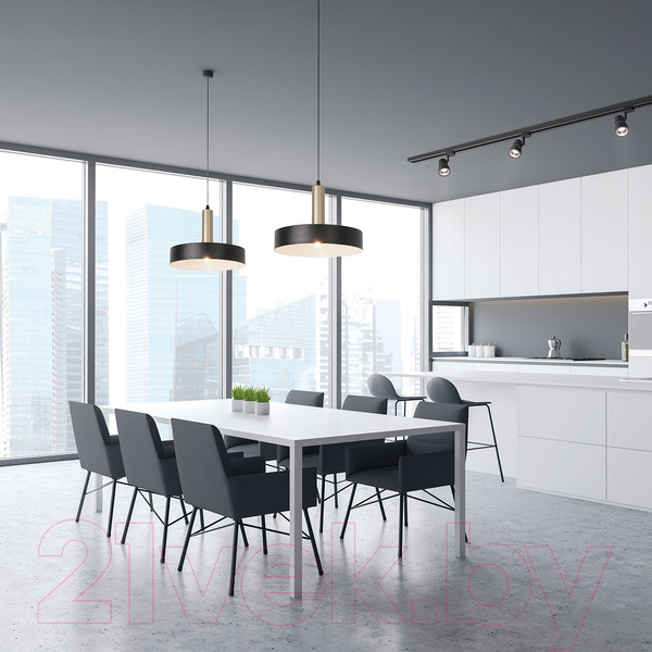 Изображение товара Потолочный светильник ESCADA 1110/1S (черный)