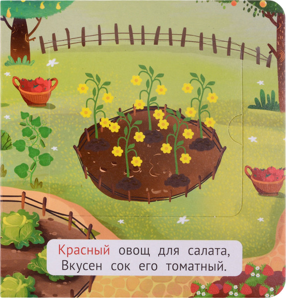 Изображение товара Развивающая книга Проф-Пресс Книжка-малышка с окошками. Цвета