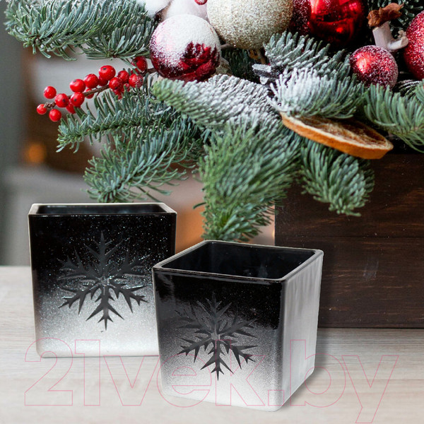 Изображение товара Кашпо NiNaGlass Куб 91-005 / 4840155632