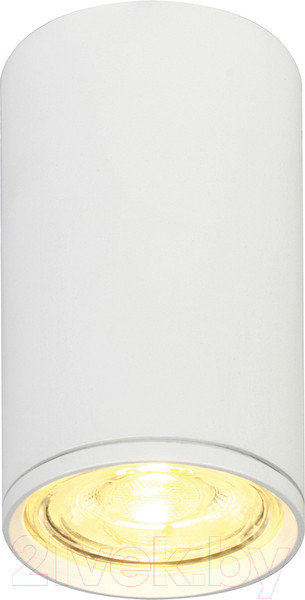 Изображение товара Потолочный светильник ESCADA 20001SMU/01 SWH (белый матовый)