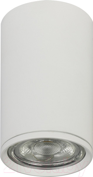 Изображение товара Потолочный светильник ESCADA 20001SMU/01 SWH (белый матовый)