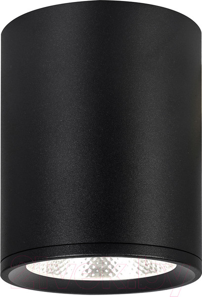 Изображение товара Потолочный светильник ESCADA 20003SMU/02LED SBK (черный матовый)