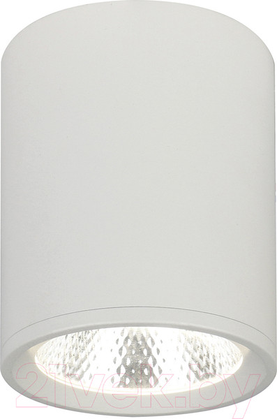 Изображение товара Потолочный светильник ESCADA 20003SMU/02LED SWH (белый матовый)