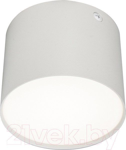 Изображение товара Потолочный светильник ESCADA 20004SMU/01LED SWH (белый матовый)