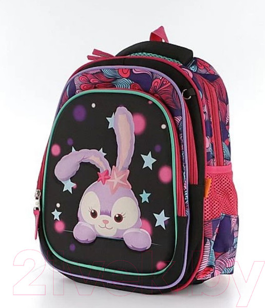 Изображение товара Школьный рюкзак Ecotope 306-62207-BCL (черный)