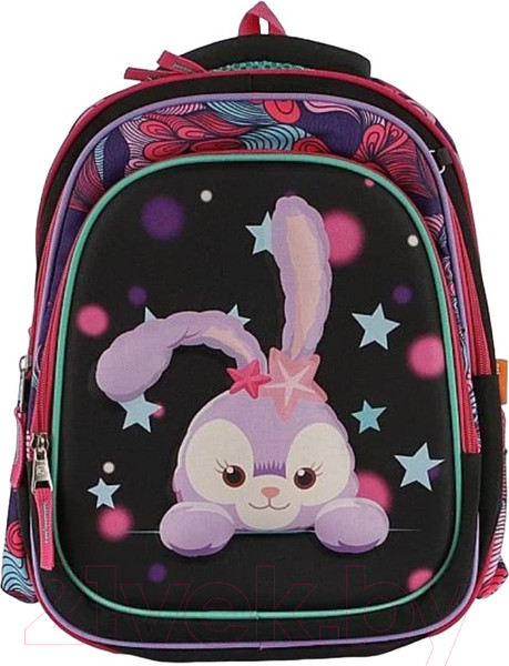 Изображение товара Школьный рюкзак Ecotope 306-62207-BCL (черный)