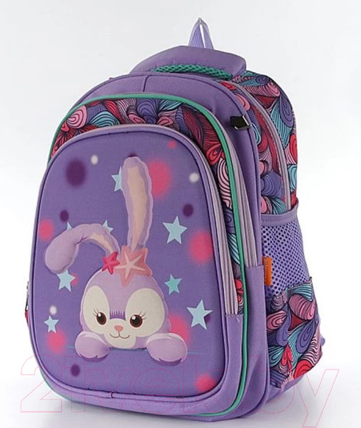 Изображение товара Школьный рюкзак Ecotope 306-62207-LCC (сиреневый)