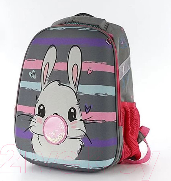 Изображение товара Школьный рюкзак Ecotope 306-62217-GCL (серый)