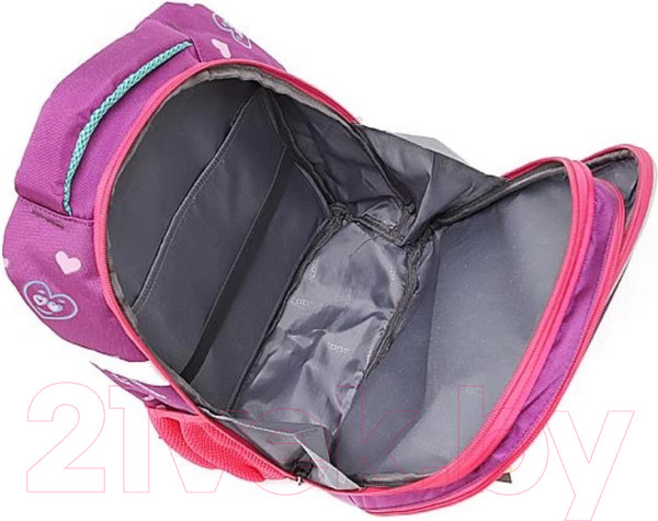 Изображение товара Школьный рюкзак Ecotope 306-62217-VCL (фиолетовый)