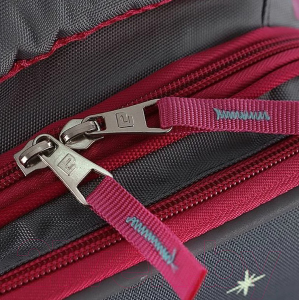 Изображение товара Школьный рюкзак Ecotope 306-8038-GCL (серый)