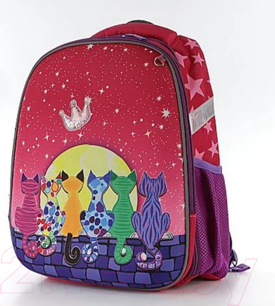 Изображение товара Школьный рюкзак Ecotope 306-8051-PCL (розовый)