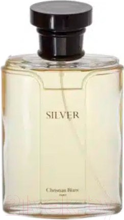 Изображение товара Парфюмерная вода Christian Blanc Princesse Silver (100мл)