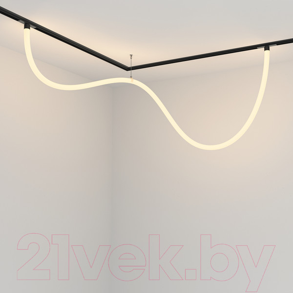 Изображение товара Трековый светильник Maytoni Tau TR101-2-50W3K-B