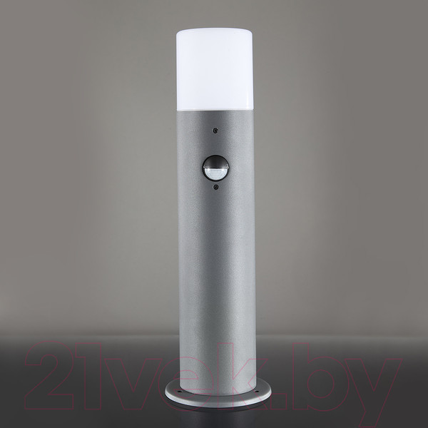 Изображение товара Светильник уличный ESCADA 10179/T (темно-серый)