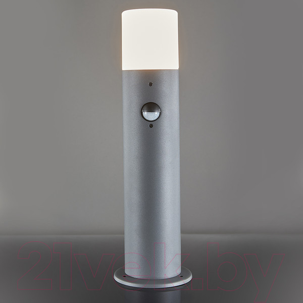 Изображение товара Светильник уличный ESCADA 10179/T (темно-серый)