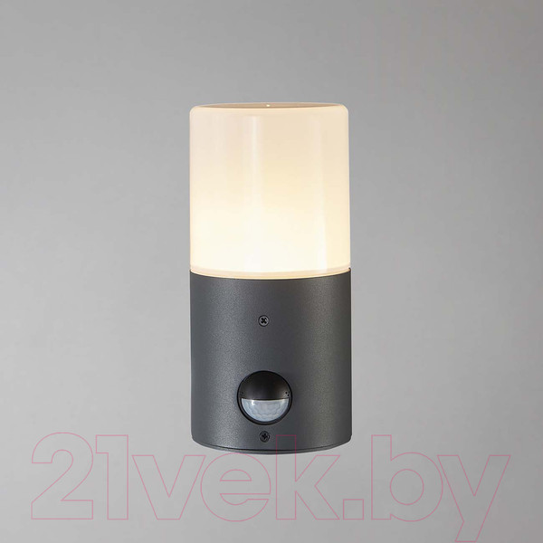 Изображение товара Бра уличное ESCADA 581/1A (темно-серый)