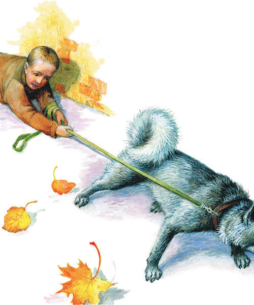 Изображение товара Книга АСТ Как правильно любить собак. Рассказы, твердая обложка (Успенский Эдуард)