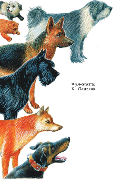 Изображение товара Книга АСТ Как правильно любить собак. Рассказы, твердая обложка (Успенский Эдуард)