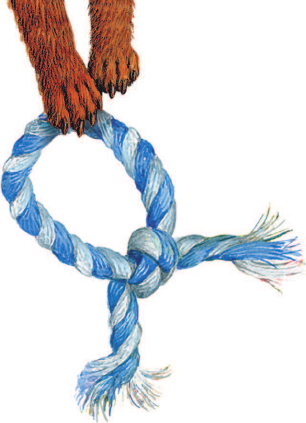 Изображение товара Книга АСТ Как правильно любить собак. Рассказы, твердая обложка (Успенский Эдуард)