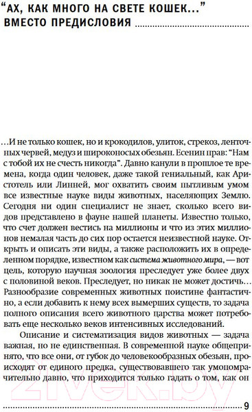 Изображение товара Книга Альпина Евангелие от Luca. Покет (Винарский М.)
