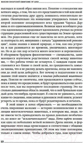 Изображение товара Книга Альпина Евангелие от Luca. Покет (Винарский М.)