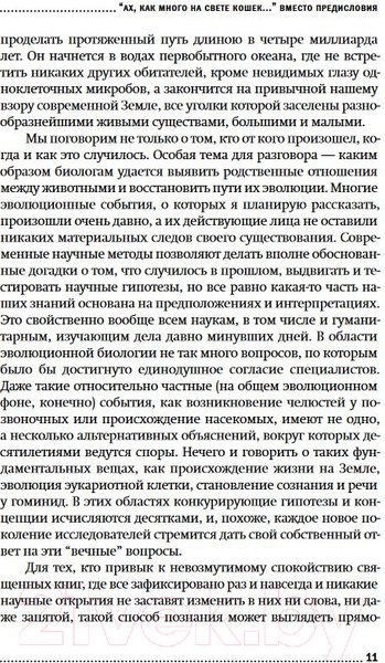 Изображение товара Книга Альпина Евангелие от Luca. Покет (Винарский М.)
