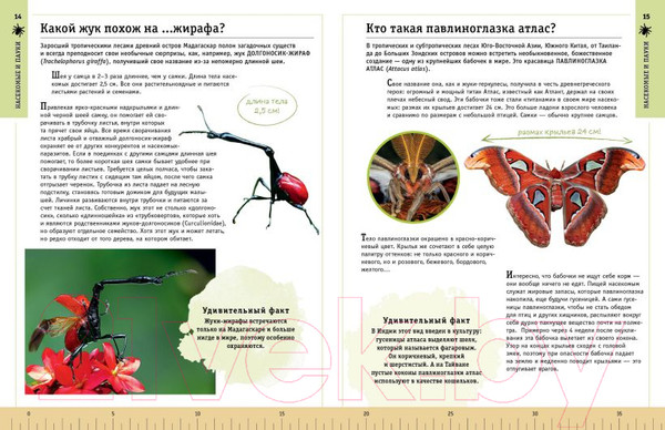 Изображение товара Энциклопедия Эксмо Редкие и удивительные животные нашей планеты (Климов В.)
