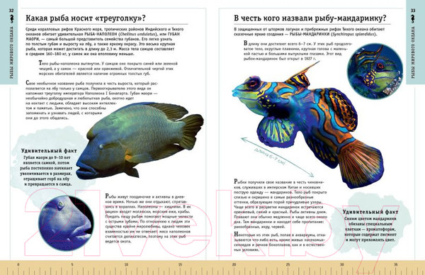 Изображение товара Энциклопедия Эксмо Редкие и удивительные животные нашей планеты (Климов В.)