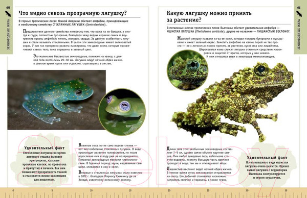 Изображение товара Энциклопедия Эксмо Редкие и удивительные животные нашей планеты (Климов В.)