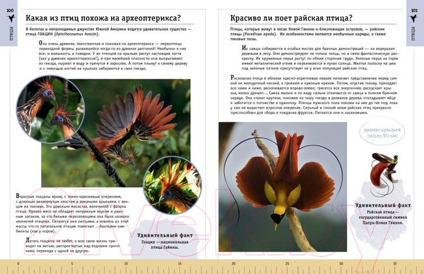 Изображение товара Энциклопедия Эксмо Редкие и удивительные животные нашей планеты (Климов В.)