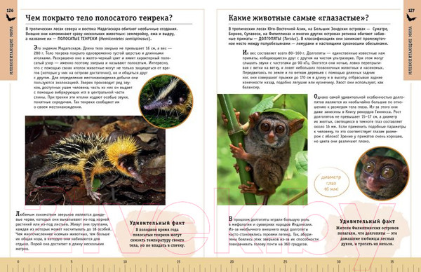 Изображение товара Энциклопедия Эксмо Редкие и удивительные животные нашей планеты (Климов В.)