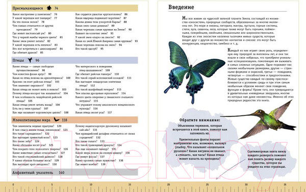 Изображение товара Энциклопедия Эксмо Редкие и удивительные животные нашей планеты (Климов В.)