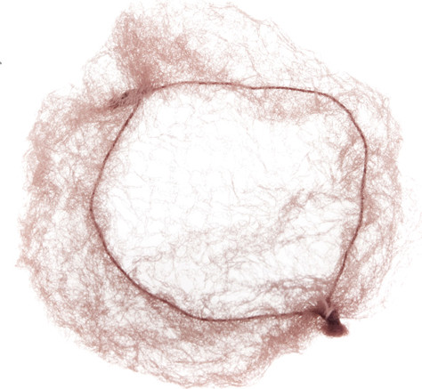 Изображение товара Cеточка для волос Dewal CE101 (2шт, коричневый)