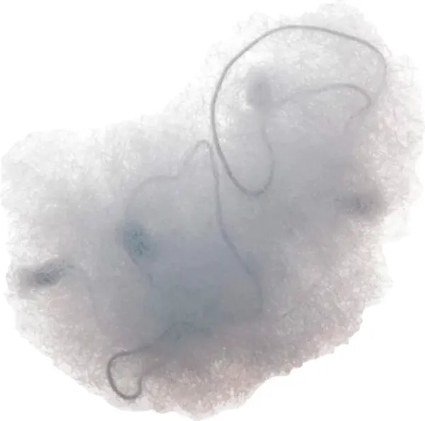 Изображение товара Cеточка для волос Dewal CE103 (2шт, серый)