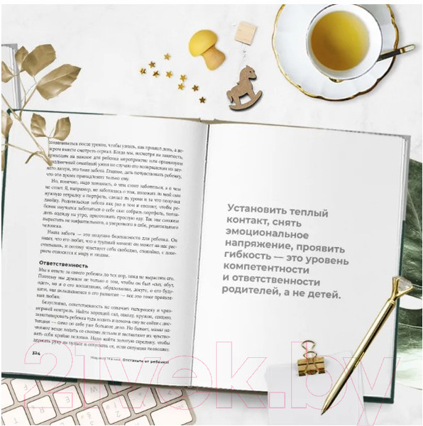 Изображение товара Книга Бомбора Золотые правила Марины Мелия (Мелия М.)