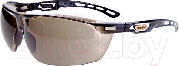 Изображение товара Защитные очки РОСОМЗ О58 Версус PC StrongGlass / 15801