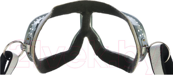 Изображение товара Защитные очки РОСОМЗ ЗП1 Patriot / 30110