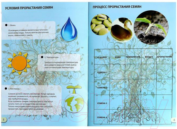 Изображение товара Набор для выращивания растений Эврики Наука о растениях / 5066413