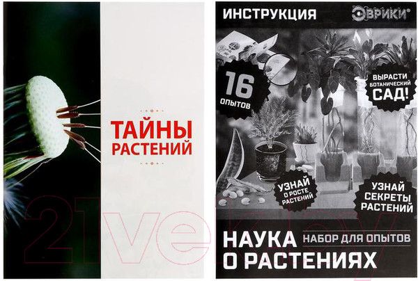 Изображение товара Набор для выращивания растений Эврики Наука о растениях / 5066413