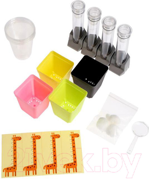 Изображение товара Набор для выращивания растений Эврики Наука о растениях / 5066413