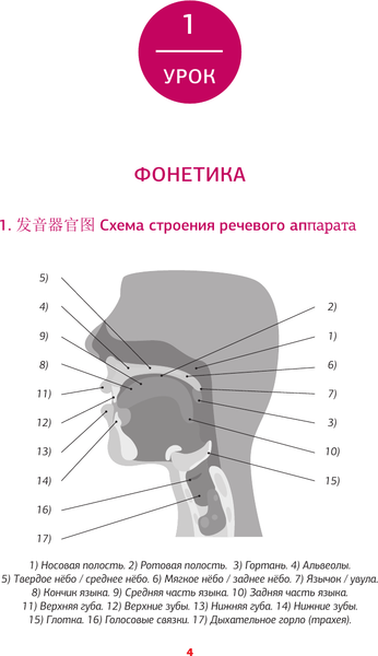 Изображение товара Учебное пособие АСТ Китайский язык. Тренажер по чтению, мягкая обложка (Ивченко Тарас)