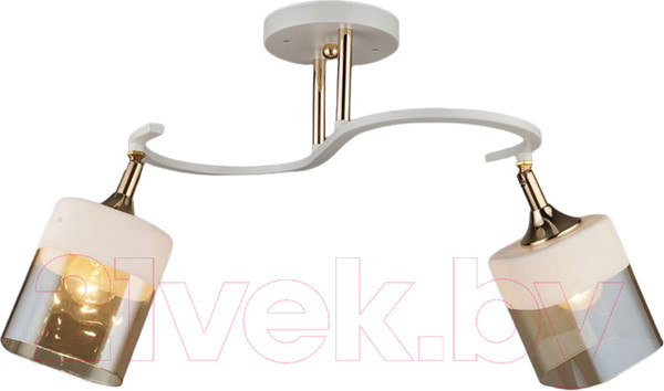 Изображение товара Потолочный светильник Mirastyle SX-N-7710/2 WT+FG