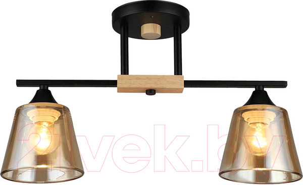 Изображение товара Потолочный светильник Mirastyle SX-N-9202/2 BK